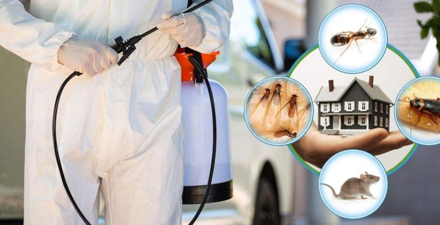 İçmeler Böcek İlaçlama