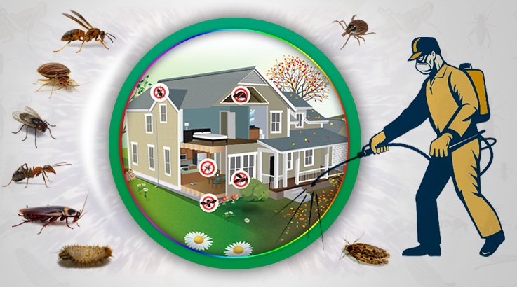 İçmeler Böcek İlaçlama