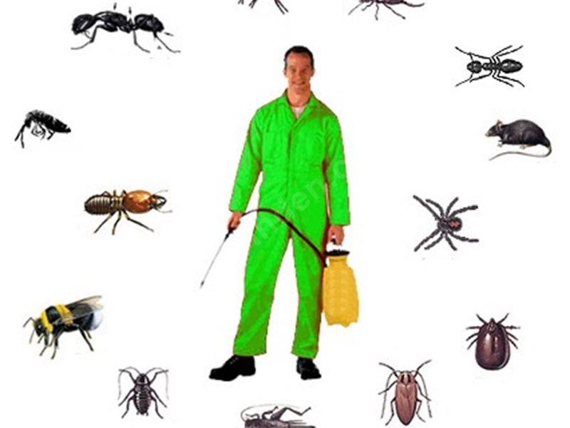 İçmeler Böcek İlaçlama