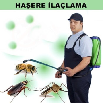 İçmeler Böcek İlaçlama